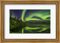 Framed Aurora Over Cameron River With Autumn Colors