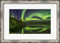 Framed Aurora Over Cameron River With Autumn Colors