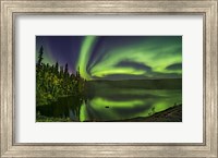 Framed Aurora Over Cameron River With Autumn Colors