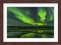 Framed Aurora Over Prosperous Lake, Near Yellowknife