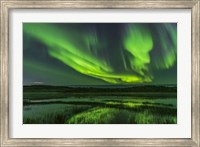 Framed Aurora Over Prosperous Lake, Near Yellowknife