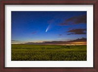 Framed Comet NEOWISE Over a Ripening Canola Field