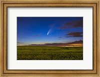 Framed Comet NEOWISE Over a Ripening Canola Field