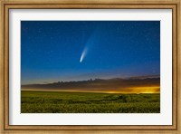 Framed Comet NEOWISE Over a Ripening Canola Field in Southern Alberta