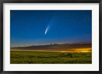 Framed Comet NEOWISE Over a Ripening Canola Field in Southern Alberta