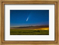 Framed Comet NEOWISE Over a Ripening Canola Field in Southern Alberta