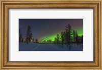 Framed Northern Lights in Lapland Forest, Finland