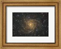 Framed Intermediate Spiral Galaxy IC 342