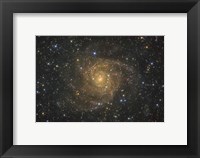 Framed Intermediate Spiral Galaxy IC 342