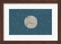 Framed Celestial Cat, Lightness