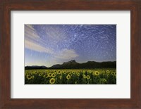 Framed Star Trails Among the Passing Clouds Above a Sunflower Filed Near Bangkok, Thailand