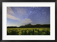 Framed Star Trails Among the Passing Clouds Above a Sunflower Filed Near Bangkok, Thailand