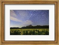 Framed Star Trails Among the Passing Clouds Above a Sunflower Filed Near Bangkok, Thailand