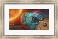 Framed Illustration Depicting the Creation of Carbon-14 and How It Becomes Locked in Tree Rings