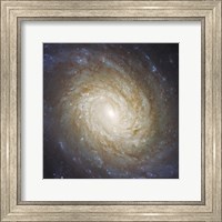 Framed Nucleus of Spiral Galaxy NGC 976