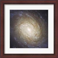 Framed Nucleus of Spiral Galaxy NGC 976