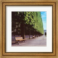 Framed French Jardin No. 9