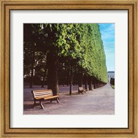 Framed French Jardin No. 9