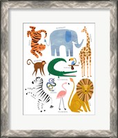 Framed Animal Chart