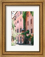 Framed Pink Buildings in Rome