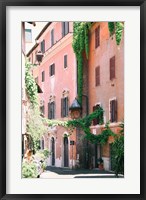 Framed Pink Buildings in Rome