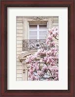 Framed Spring Magnolias in Paris