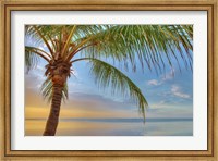 Framed Key West