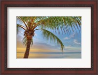 Framed Key West