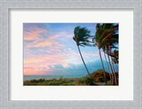 Framed Seabreeze