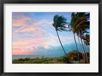 Framed Seabreeze