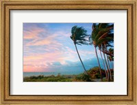 Framed Seabreeze