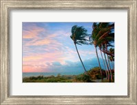 Framed Seabreeze