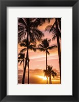 Framed Palm Trees At Sunset Of Maui, Hawaii