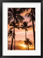 Framed Palm Trees At Sunset Of Maui, Hawaii