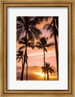 Framed Palm Trees At Sunset Of Maui, Hawaii