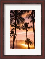 Framed Palm Trees At Sunset Of Maui, Hawaii