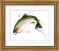 Framed Pink Salmon Jumping Out Of the Water