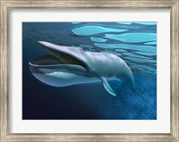 Framed Blue Whale Underwater With Caustics On Surface