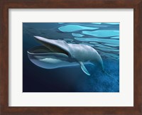 Framed Blue Whale Underwater With Caustics On Surface