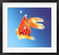 Framed Goldfish With Water Bubbles