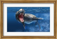 Framed Leopard Seal Swimming Underwater
