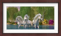 Framed Unicorns Cool Off in a Summer Stream