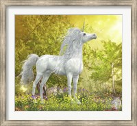 Framed White Unicorn Stallion Stands in a Meadow Full of Flowers