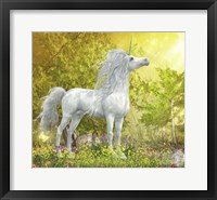 Framed White Unicorn Stallion Stands in a Meadow Full of Flowers