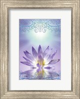 Framed Lotus With Decorative Edging