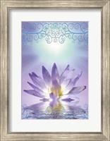 Framed Lotus With Decorative Edging