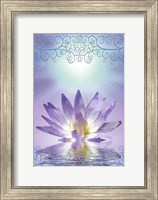 Framed Lotus With Decorative Edging