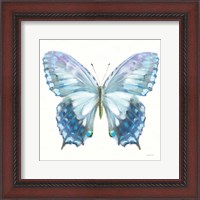 Framed Aflutter I