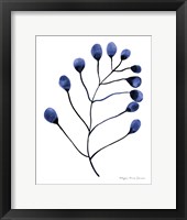 Silhouette of Nature II Framed Print