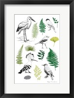 Framed Nature Chart I